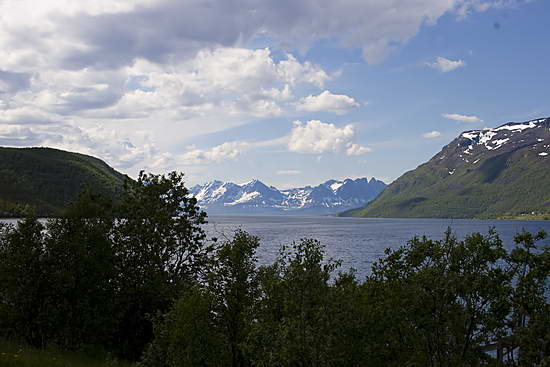 Image Image