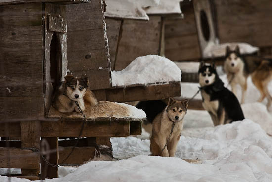 piaogpeter_trysil_del4_018