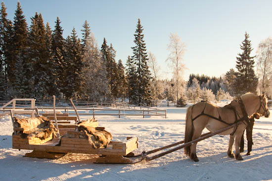 piaogpeter_trysil_del5_001