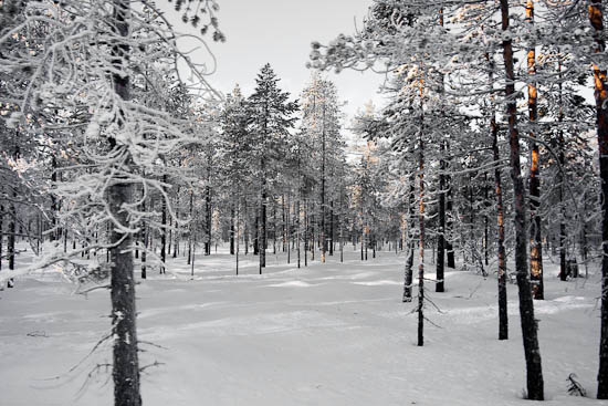 piaogpeter_trysil_del5_002