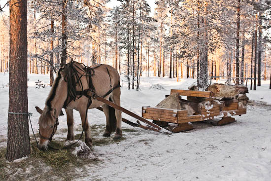 piaogpeter_trysil_del5_005
