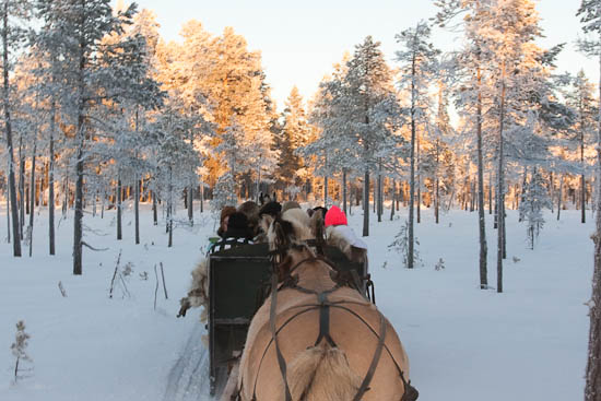 piaogpeter_trysil_del5_007