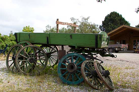 Western Camp Western Camp