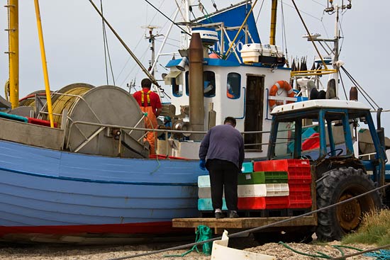 Klim Strand Camping Klim Strand Camping