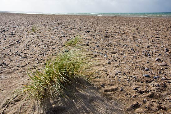 Klim Strand Camping Klim Strand Camping