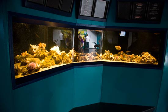 Klim Strand, Del 4 Klim Strand, Del 4