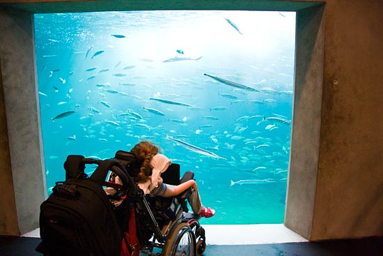 Klim Strand, Del 4 Klim Strand, Del 4