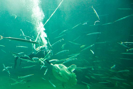 Klim Strand, Del 4 Klim Strand, Del 4