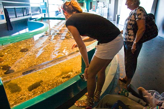 Klim Strand, Del 4 Klim Strand, Del 4