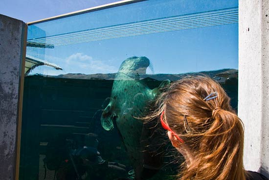 Klim Strand, Del 4 Klim Strand, Del 4