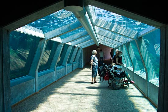 Klim Strand, Del 4 Klim Strand, Del 4