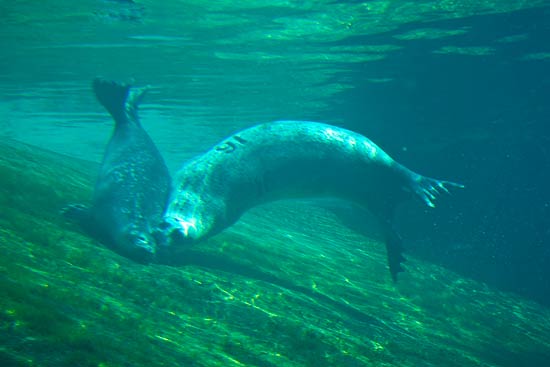 Klim Strand, Del 4 Klim Strand, Del 4