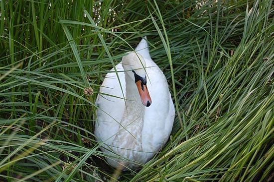 Med Adria Club Danmark til Nordkapp Med Adria Club Danmark til Nordkapp