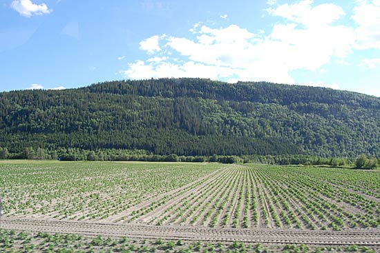 Med Adria Club Danmark til Nordkapp Med Adria Club Danmark til Nordkapp