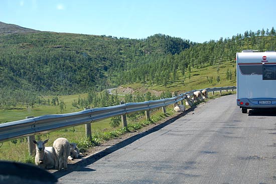 Med Adria Club Danmark til Nordkapp