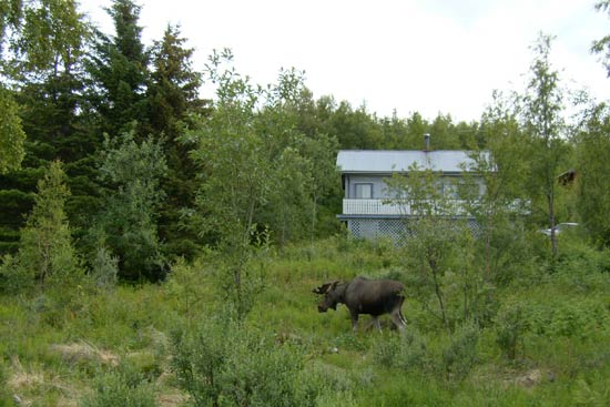 Med Adria Club Danmark til Nordkapp