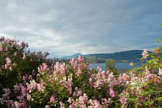 Med Adria Club Danmark til Nordkapp