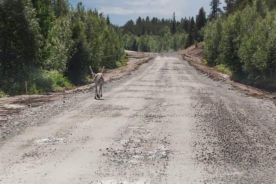 Med Adria Club Danmark til Nordkapp Med Adria Club Danmark til Nordkapp