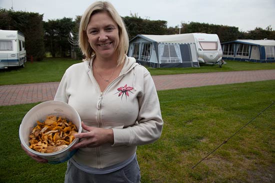 Efterår på Klim Strand Efterår på Klim Strand