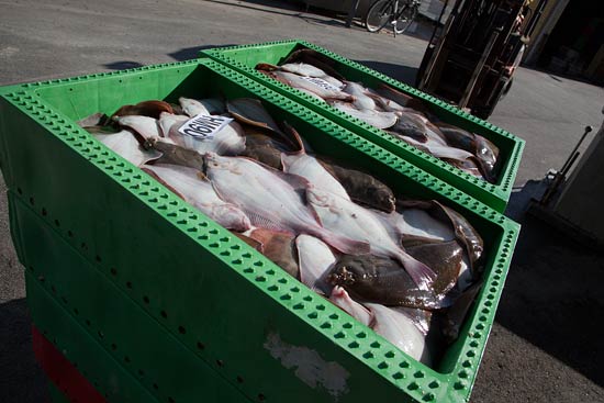 Efterår på Klim Strand Efterår på Klim Strand