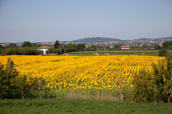 Baia Domizia, Del 1 Baia Domizia, Del 1