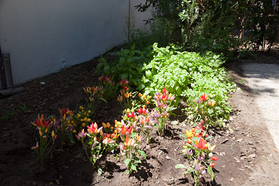 Baia Domizia, Del 3 Baia Domizia, Del 3