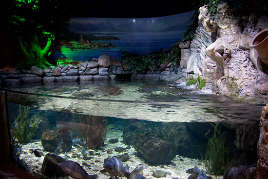 Piani Di Clodia, Del 2 Piani Di Clodia, Del 2