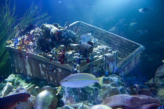 Piani Di Clodia, Del 2 Piani Di Clodia, Del 2