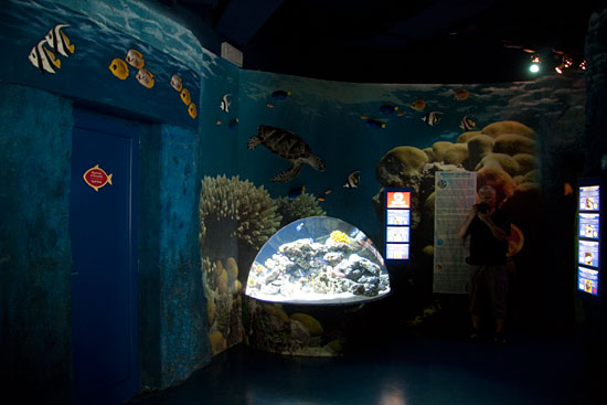 Piani Di Clodia, Del 2 Piani Di Clodia, Del 2