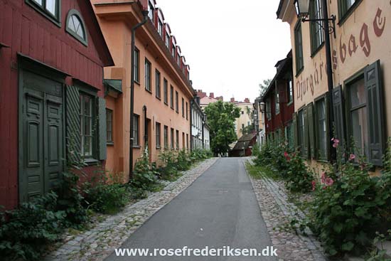 Med Rose Frederiksen til Nordkapp Sommer 2011, Del 1