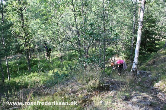 Med Rose Frederiksen til Nordkapp Sommer 2011, Del 1