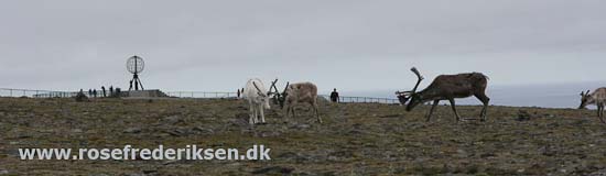 Med Rose Frederiksen til Nordkapp Sommer 2011, Del 2