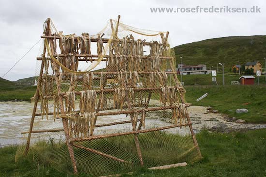 Med Rose Frederiksen til Nordkapp Sommer 2011, Del 2