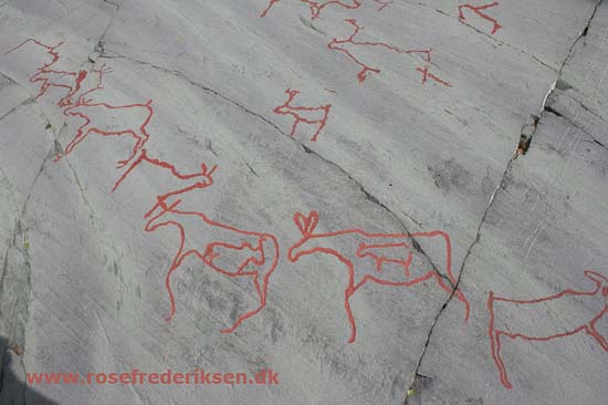 Med Rose Frederiksen til Nordkapp Sommer 2011, Del 2