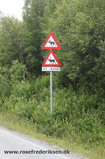 Med Rose Frederiksen til Nordkapp Sommer 2011, Del 2