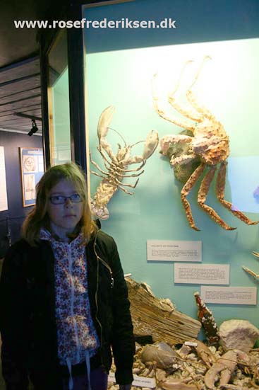 Med Rose Frederiksen til Nordkapp Sommer 2011, Del 3