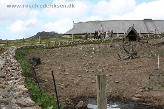 Med Rose Frederiksen til Nordkapp Sommer 2011, Del 3