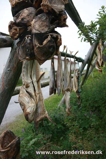 Med Rose Frederiksen til Nordkapp Sommer 2011, Del 3