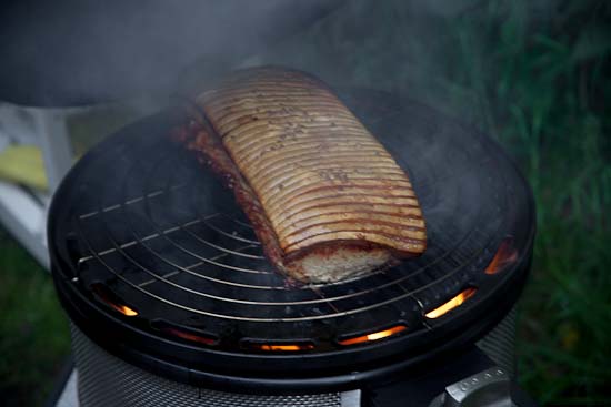 Cobb Gas Grill