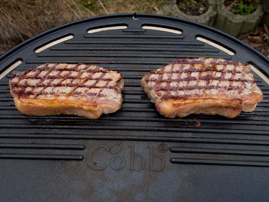 Cobb Gas Grill