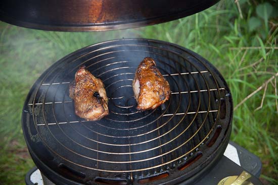 Cobb Gas Grill