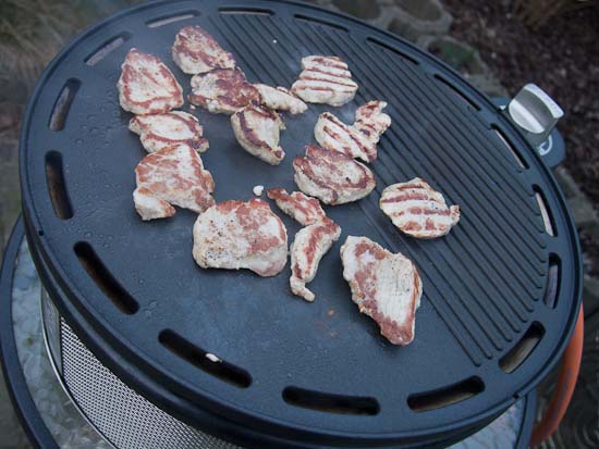 Cobb Gas Grill