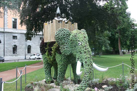 Helle og Søren Rose Frederiksen i Frankrig 2012 Helle og Søren Rose Frederiksen i Frankrig 2012