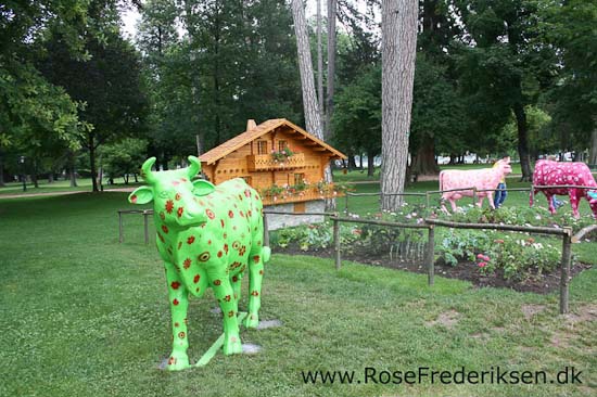 Helle og Søren Rose Frederiksen i Frankrig 2012 Helle og Søren Rose Frederiksen i Frankrig 2012