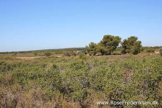 Helle og Søren Rose Frederiksen i Frankrig 2012