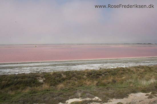 Helle og Søren Rose Frederiksen i Frankrig 2012