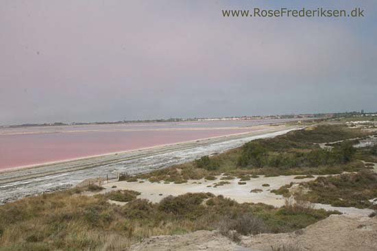 Helle og Søren Rose Frederiksen i Frankrig 2012