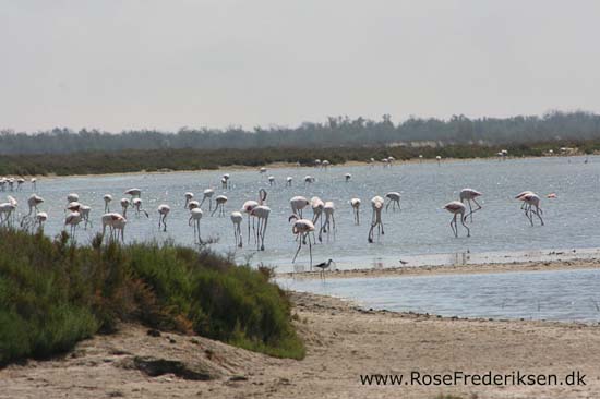Helle og Søren Rose Frederiksen i Frankrig 2012