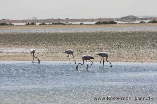 Helle og Søren Rose Frederiksen i Frankrig 2012