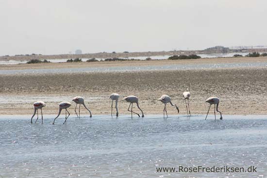 Helle og Søren Rose Frederiksen i Frankrig 2012